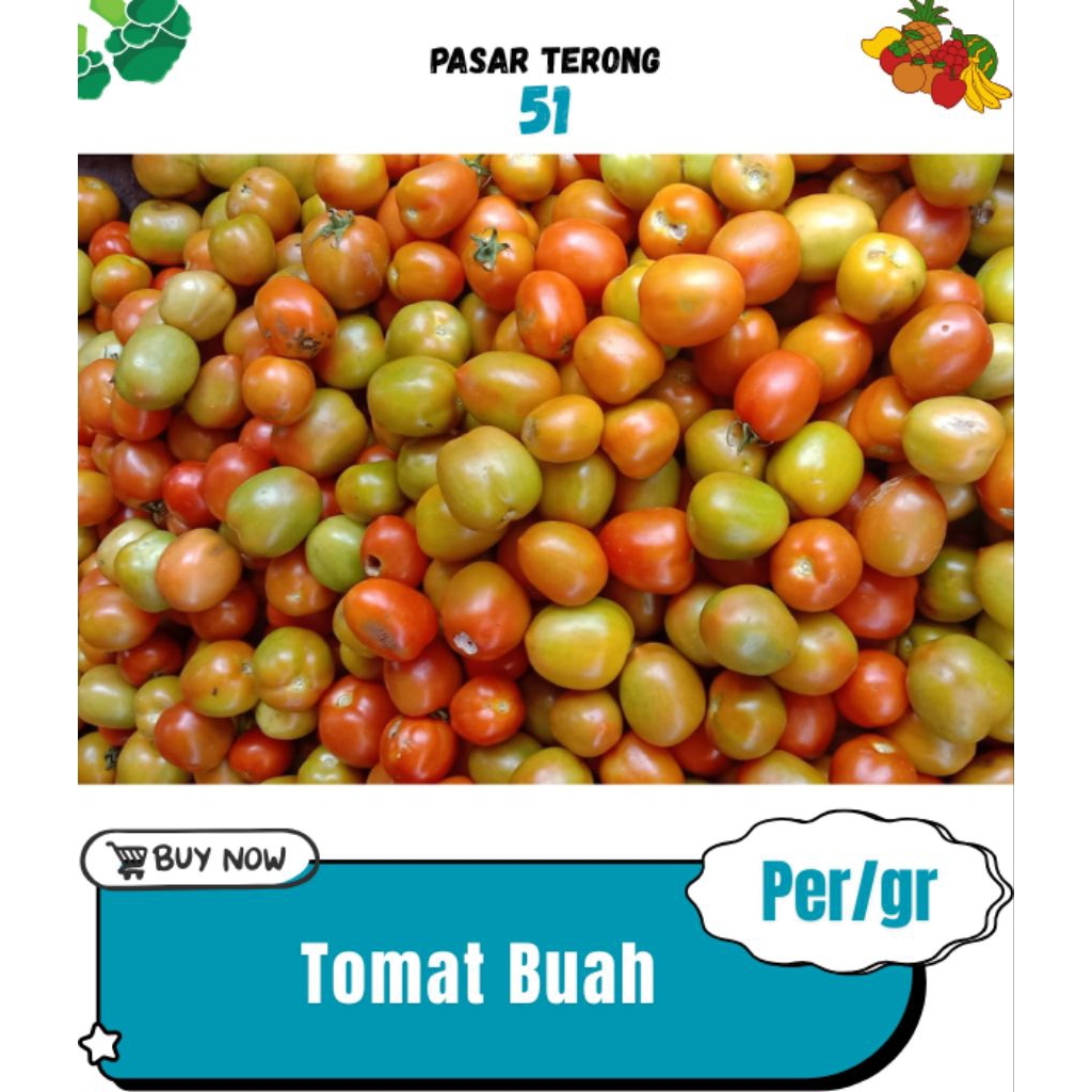 

Tomat Buah Makassar