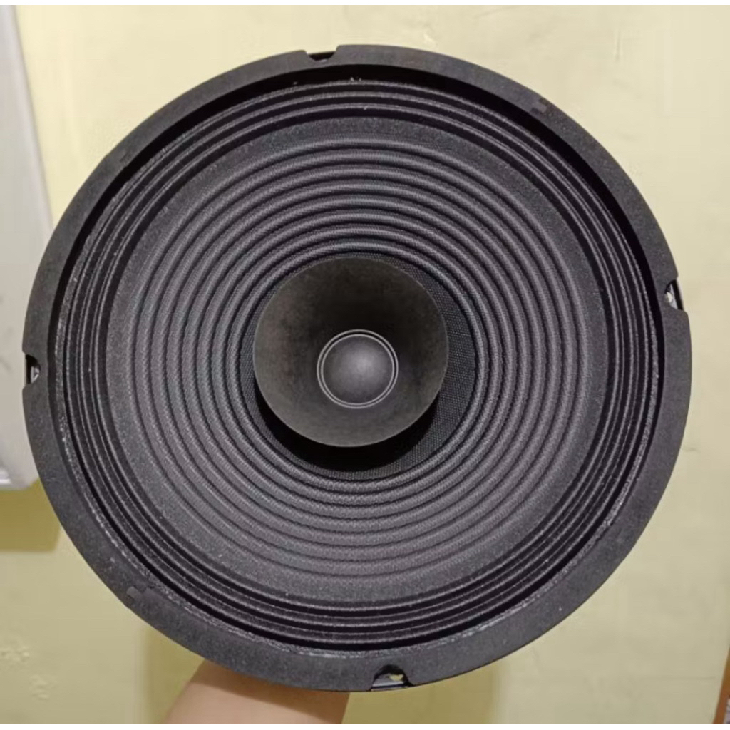 Speaker Cannon 10 Inch Full Range 300 Watt