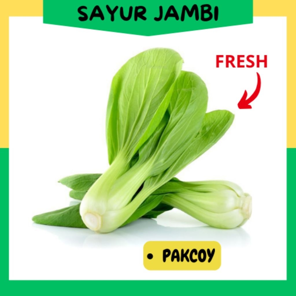 

Sayur Pakcoy/pokcoy~Sayurjambi