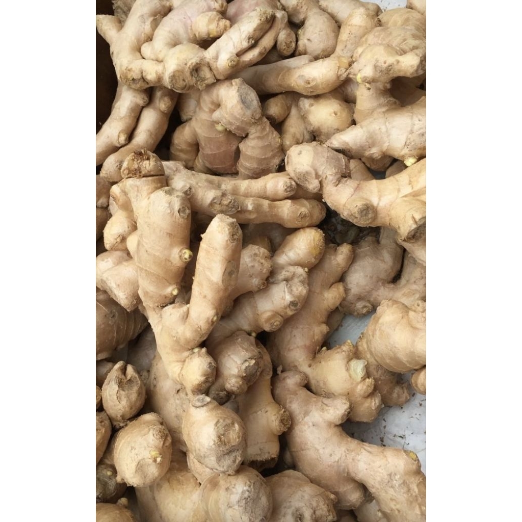 

jahe putih 250gr