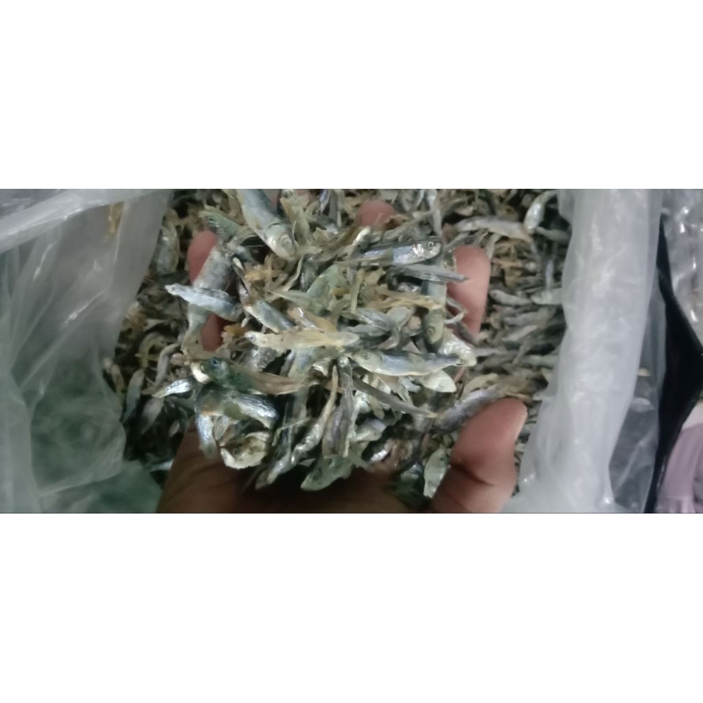 

ikan teri asin 100% FRESH