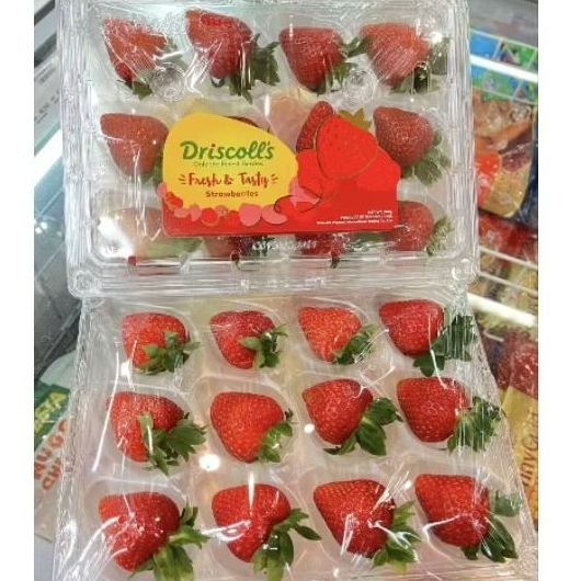 

Buah strawberry Driscoll RRC import manis segar 280 gram