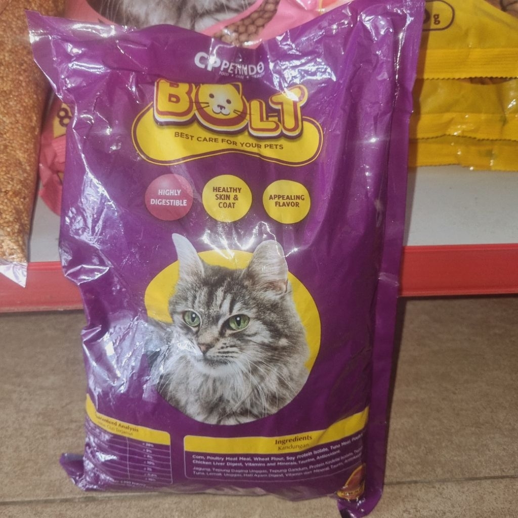 

makanan kucing