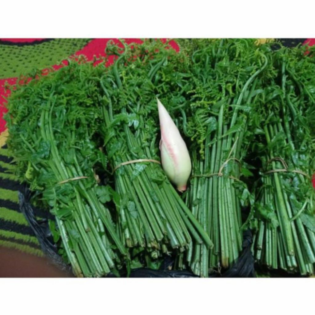 

Daun pakis sayur segar per 250gram
