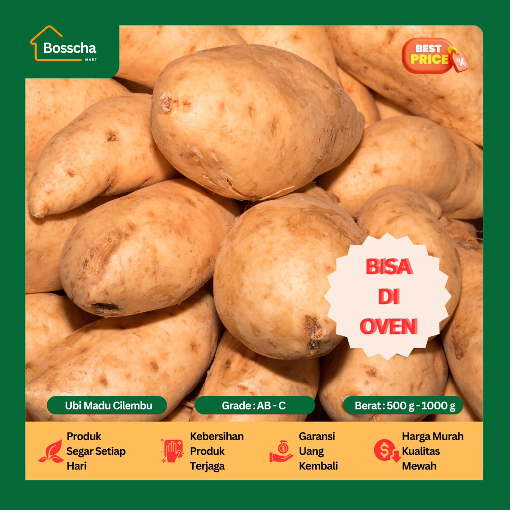 

Ubi Cilembu Spek AB, C Super - Ubi Madu Cilembu Spek Oven