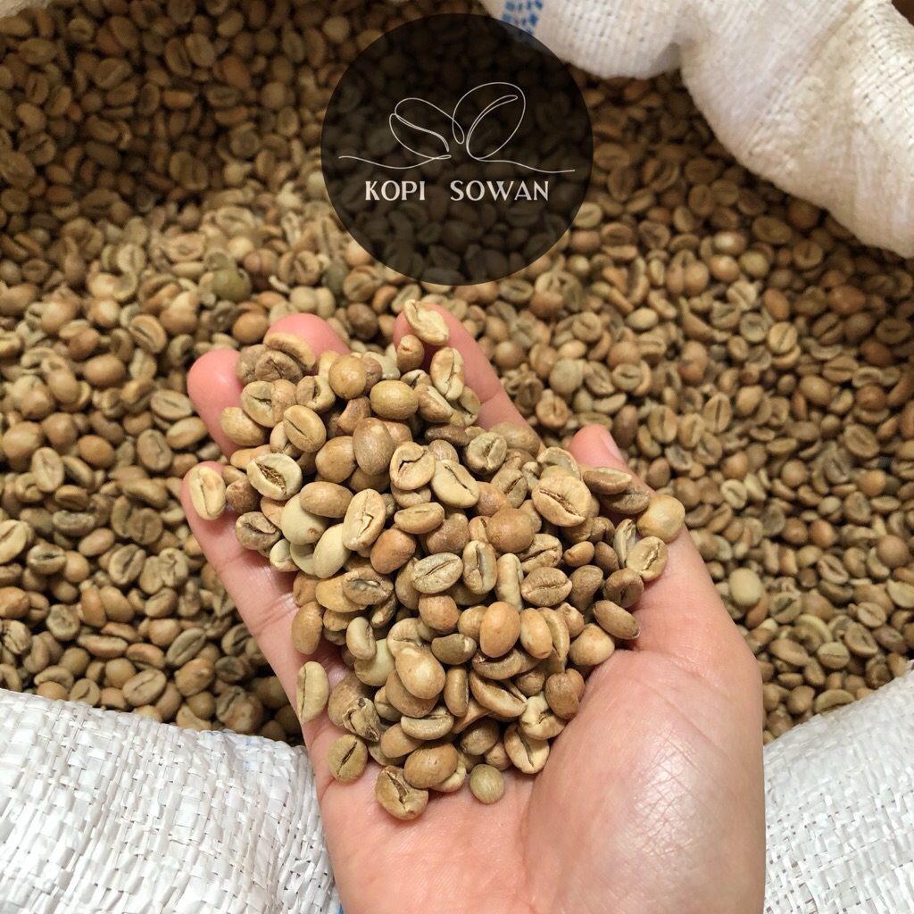 

BIJI KOPI ROBUSTA MENTAH / GREEN BEAN ROBUSTA ( JAVA ROBUSTA WONOGIRI) 1KG