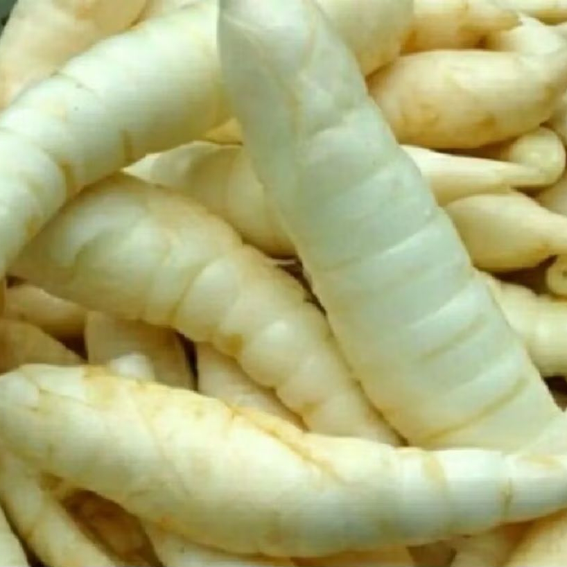 

umbi garut umbi putih 1 kg mengobati asam lambung dan mhready siap kirim