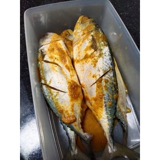 

Ikan Kembung Bumbu Kuning Siap Saji