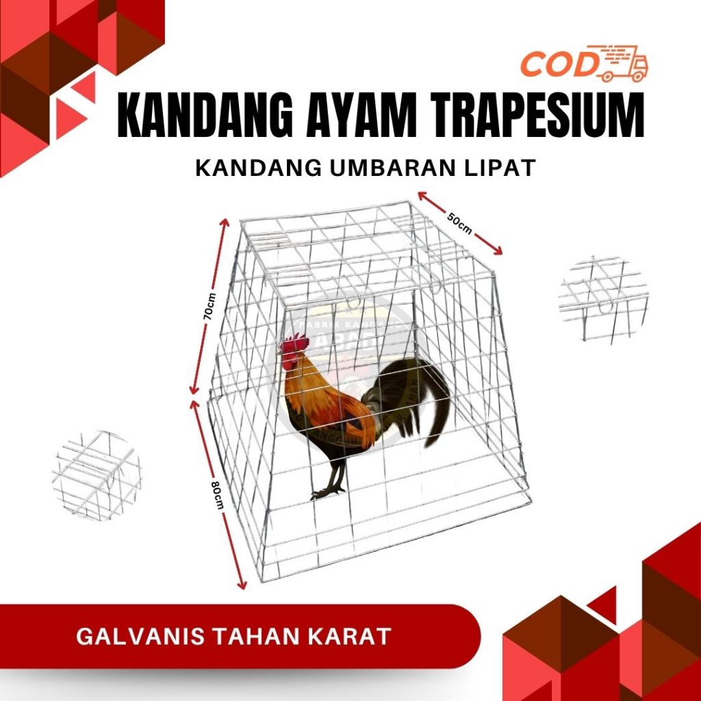 Kandang Ayam Trapesium Lipat 80x70x50cm | Kawat Tebal 3mm Anti Karat | Kandang Umbaran Ayam Bangkok 