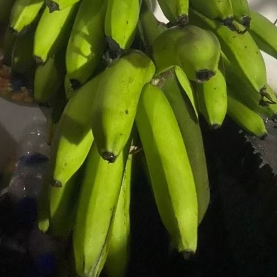 

Buah Pisang Mentah 1Paket Lengkap Pisang Bangkaulu