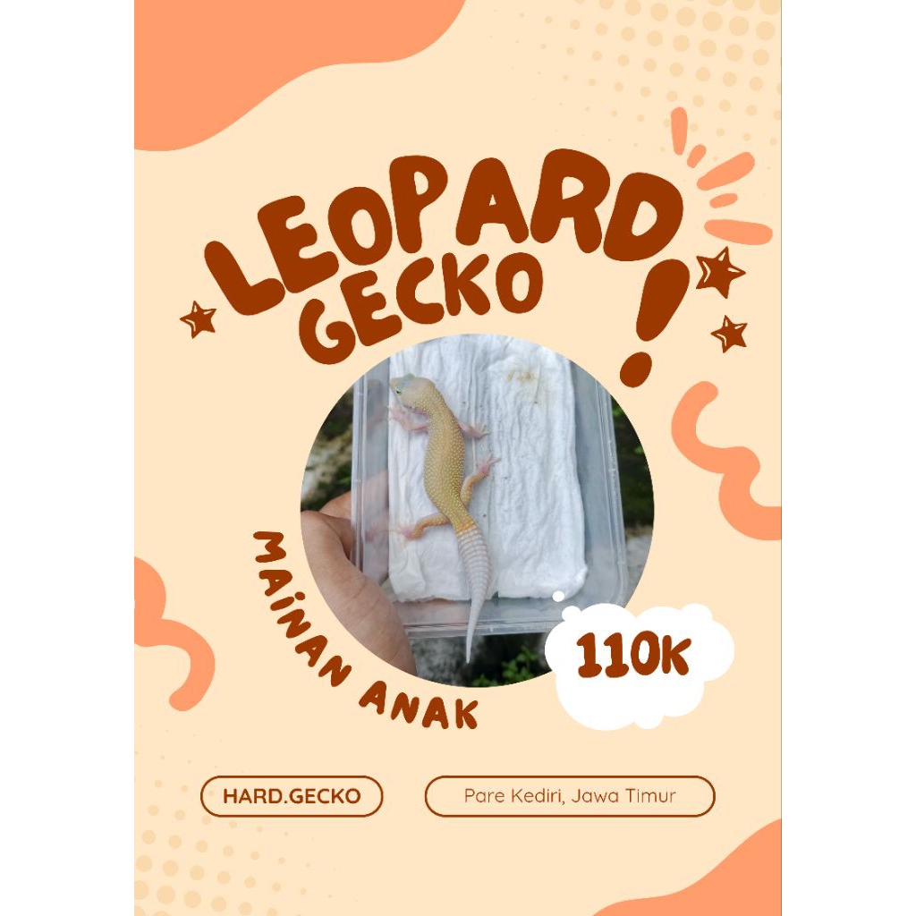 Mainan anak Gecko leopard JUVE / REMAJA PROMO TERMURAH