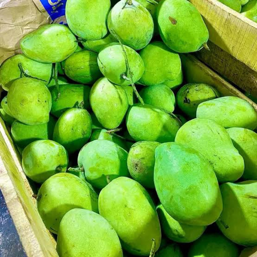 

Mangga Rujak fresh