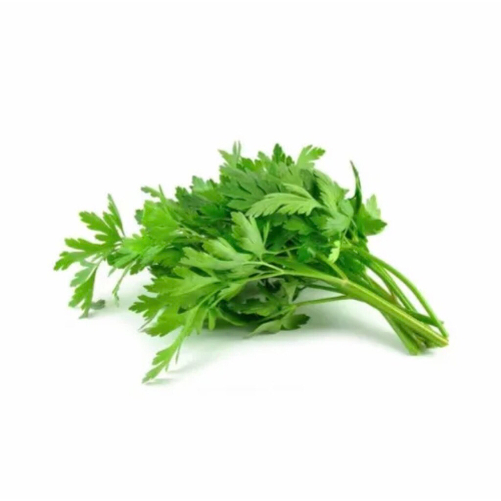 

Daun Seledri