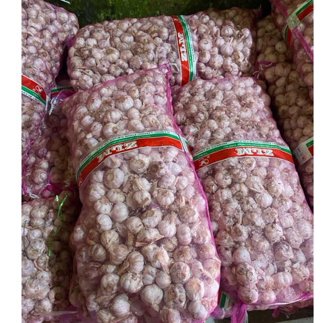 

bawang putih sinco sincu 5kg 10kg 20kg belum kupas baru panen