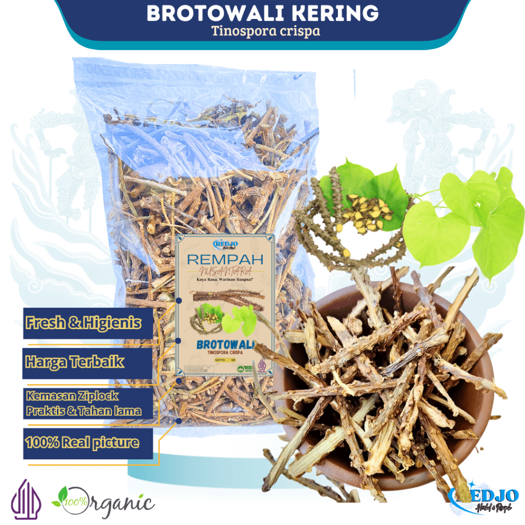 

500gr Brotowali kering / Butrowali Kering / Batang Brotowali kering Asli Rempah JSR 100% Premium Quality