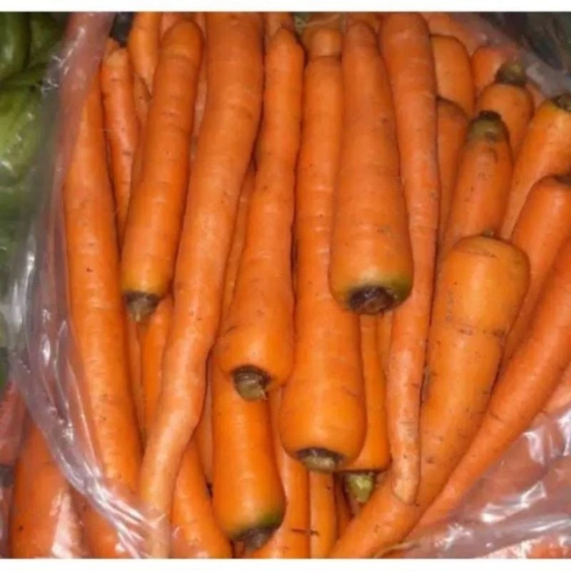 

Wortel Lokal 500gr