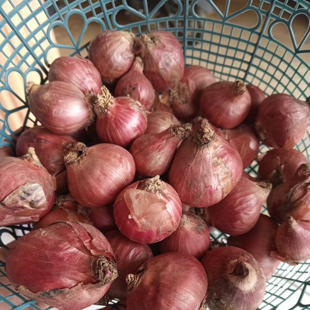 

Cod Bawang Merah