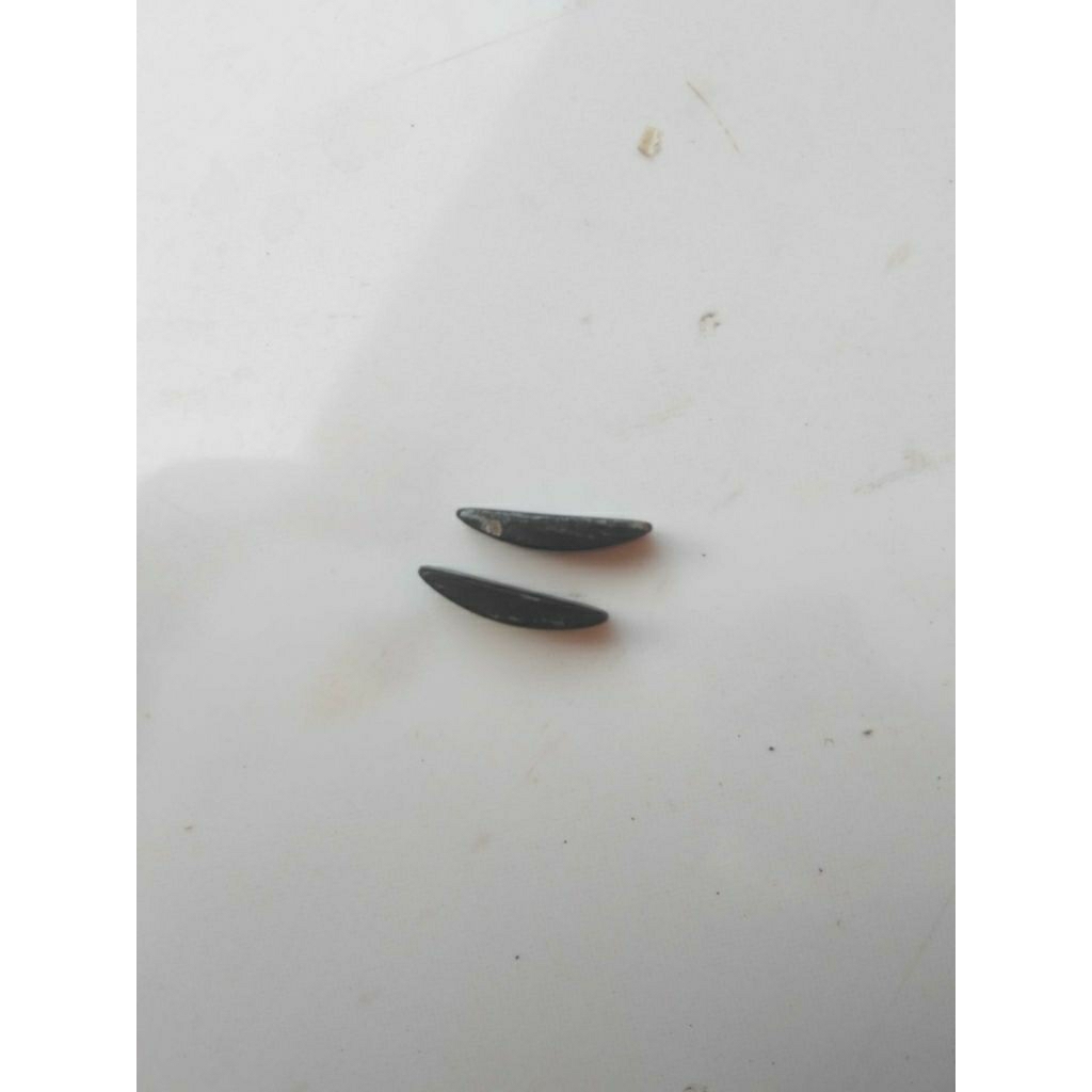 spi magnet beat karbu beat fi stater kasar original copotan asli 90741KVY900