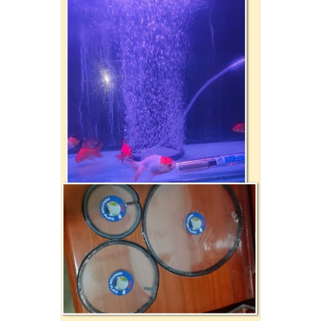 Selang Uniring Bulet Tenggelam pemecah Gelembung Airtor