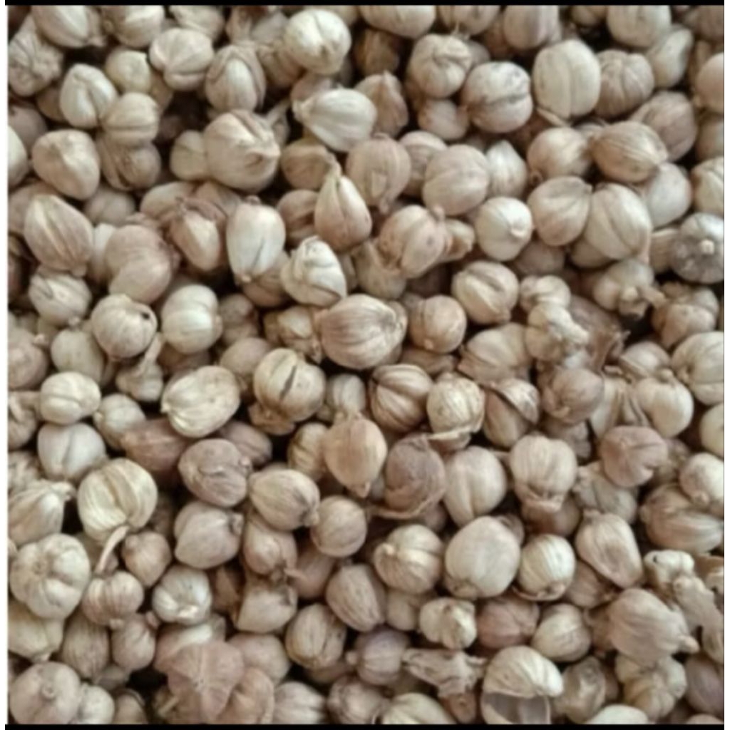 

kapulaga kering terlaris tidak di oven 250 gram