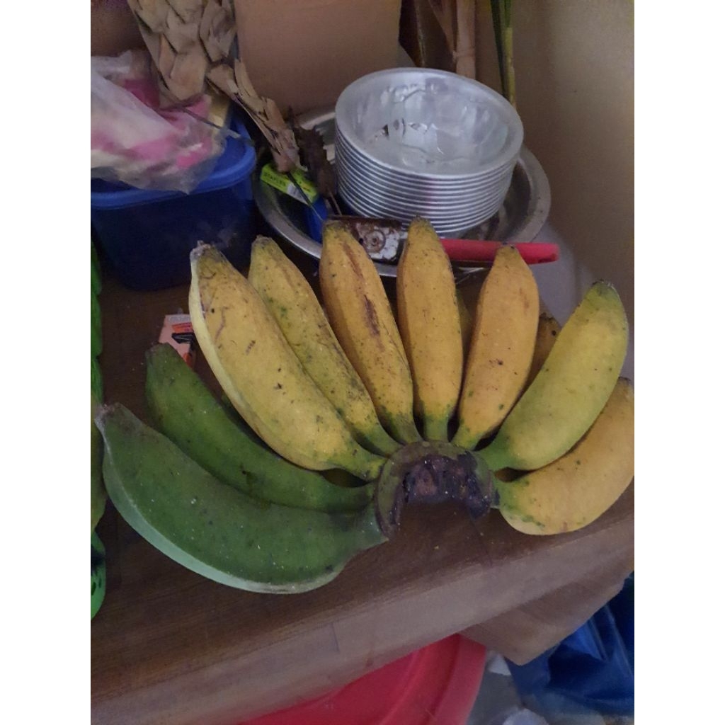 

pisang raja