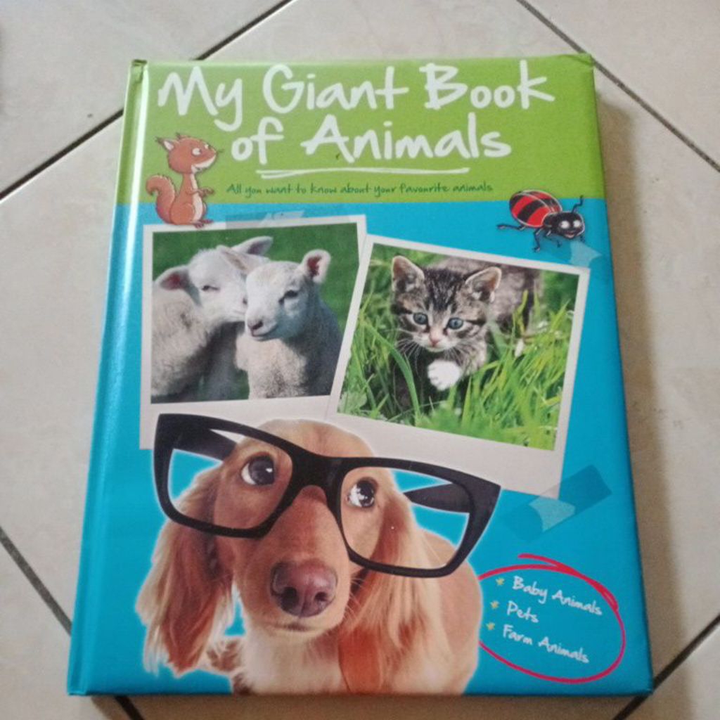 buku my Giant book of animals