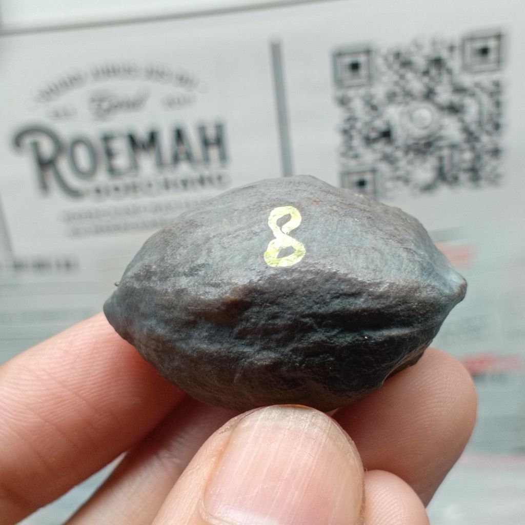 Muncang Adu Jayanti x Jawa Genjutsu kode 8