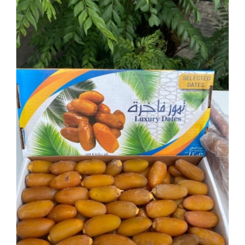 

KURMA LUTHOB LIBYA