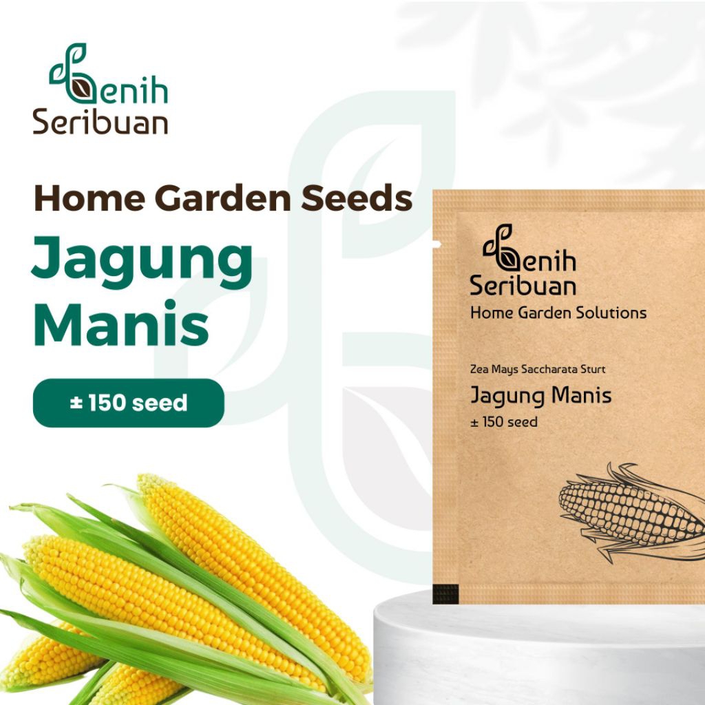 

Benih Jagung Manis