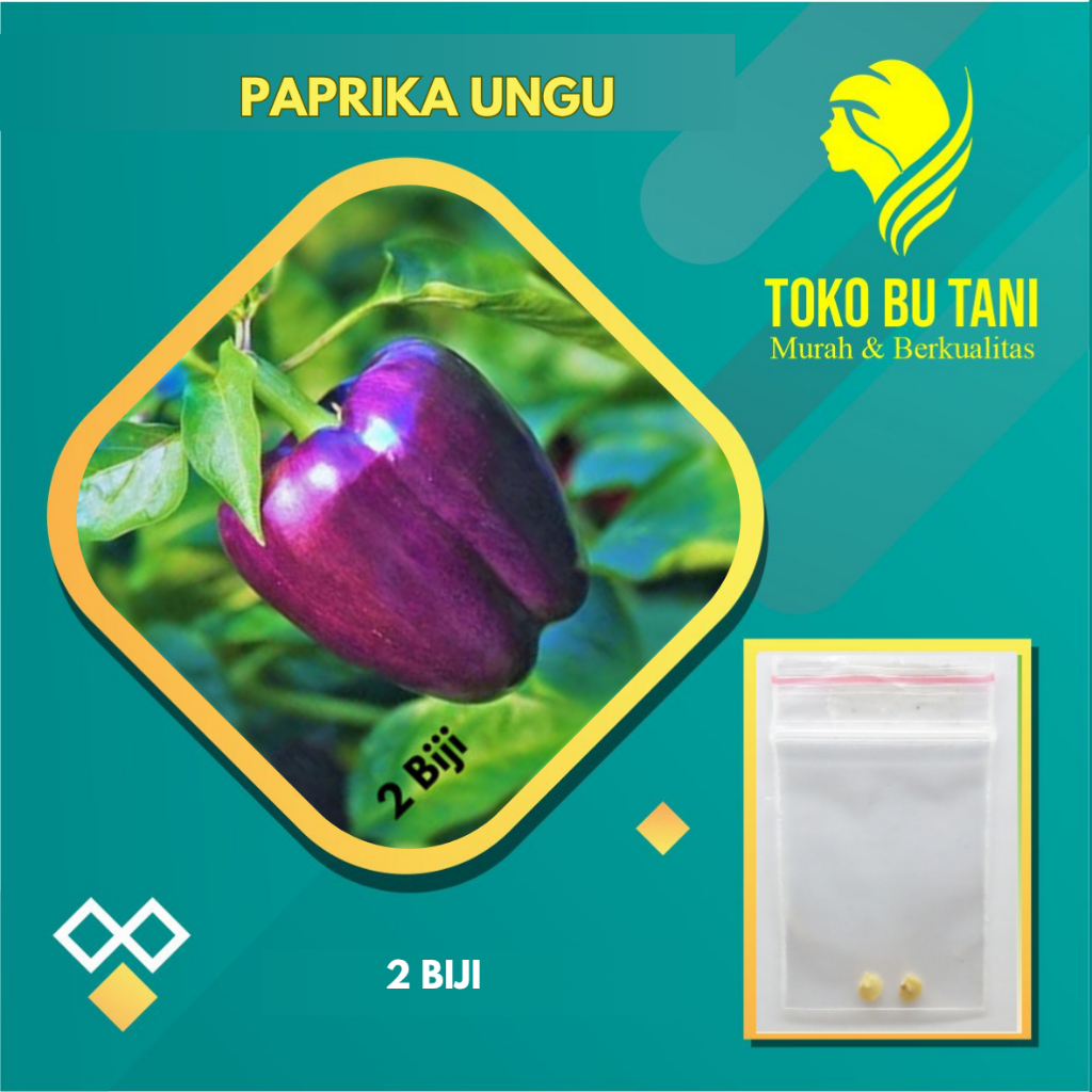 BTN Benih Paprika Ungu F1 Bibit Paprika Ungu Benih Sayuran Berkualitas