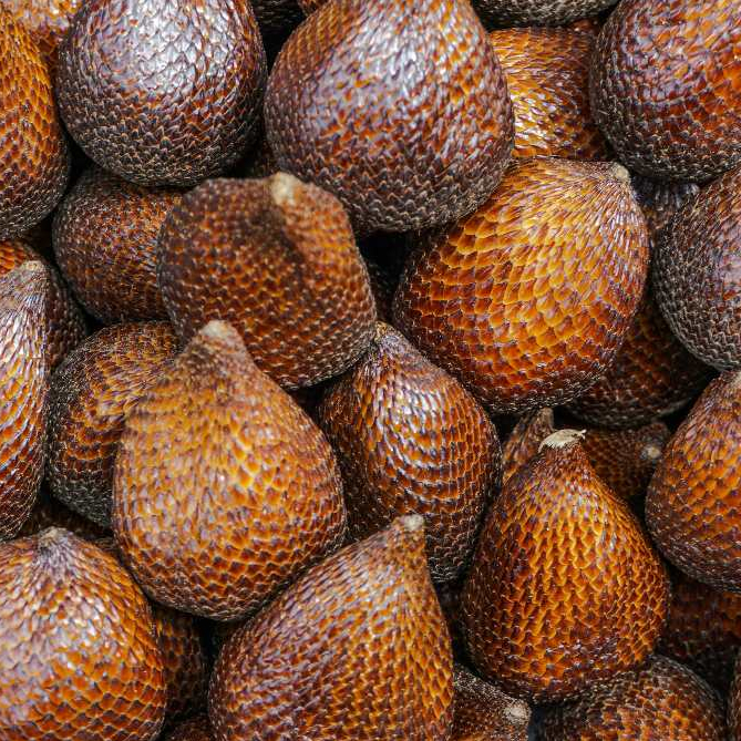 

Salak 1 Kg _ Buah Salak 1 Kg