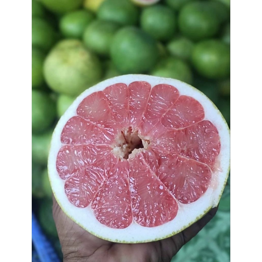 

JERUK PAMELO MADU MANIS 700-800 GRAM