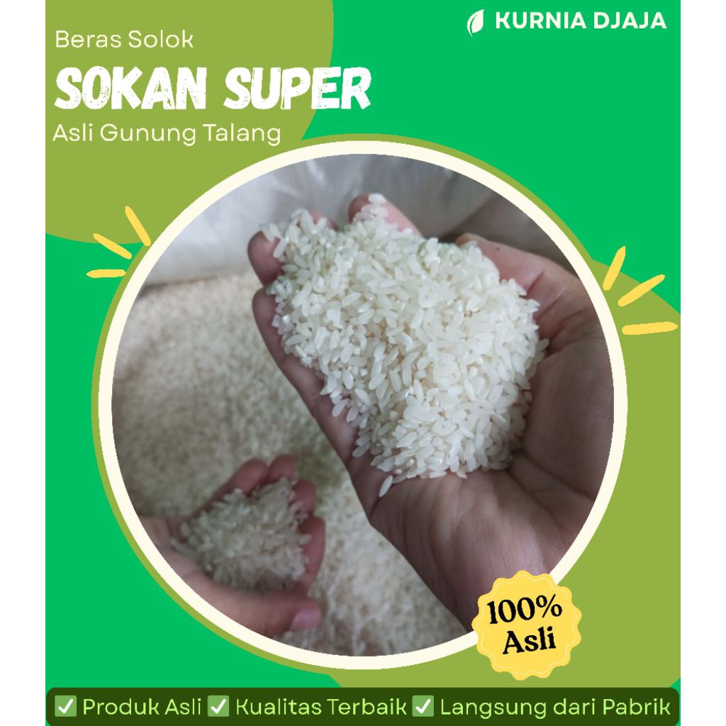 

Beras Solok Asli | Bareh Solok Sokan Super Asli Gunung Talang