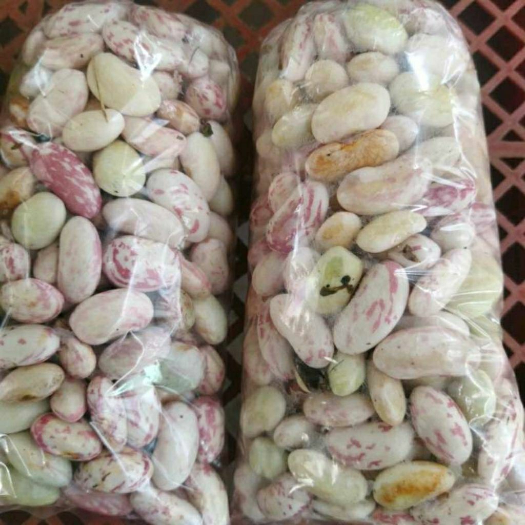 

sayur - kacang Garut 250g by pasar Tasik online