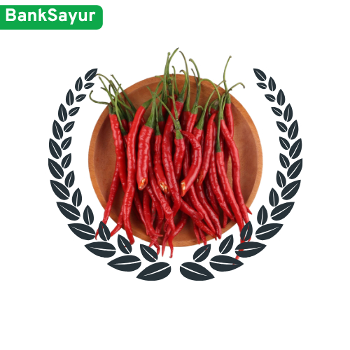 

Cabai Merah Keriting