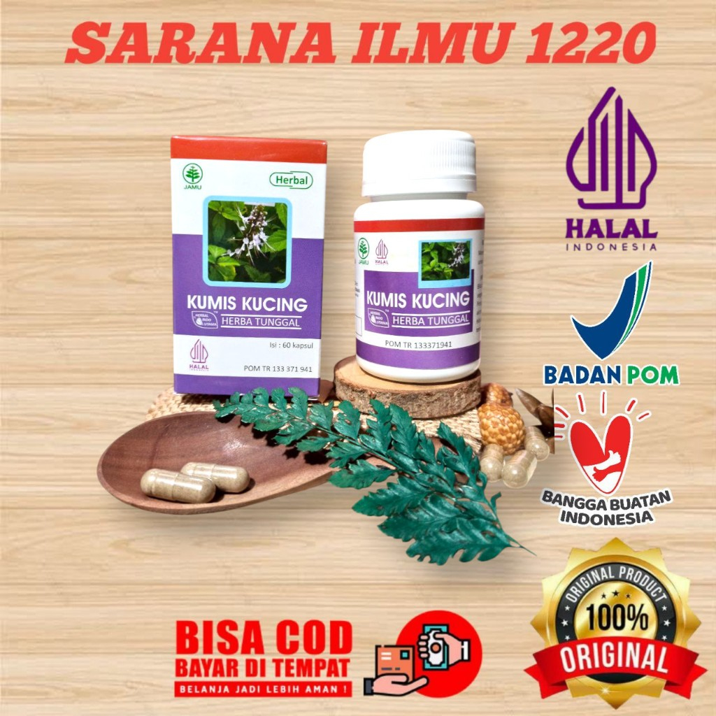 

HIU | Kapsul Kumis Kucing | Herbal Meluruhkan Batu Urin di Ginjal