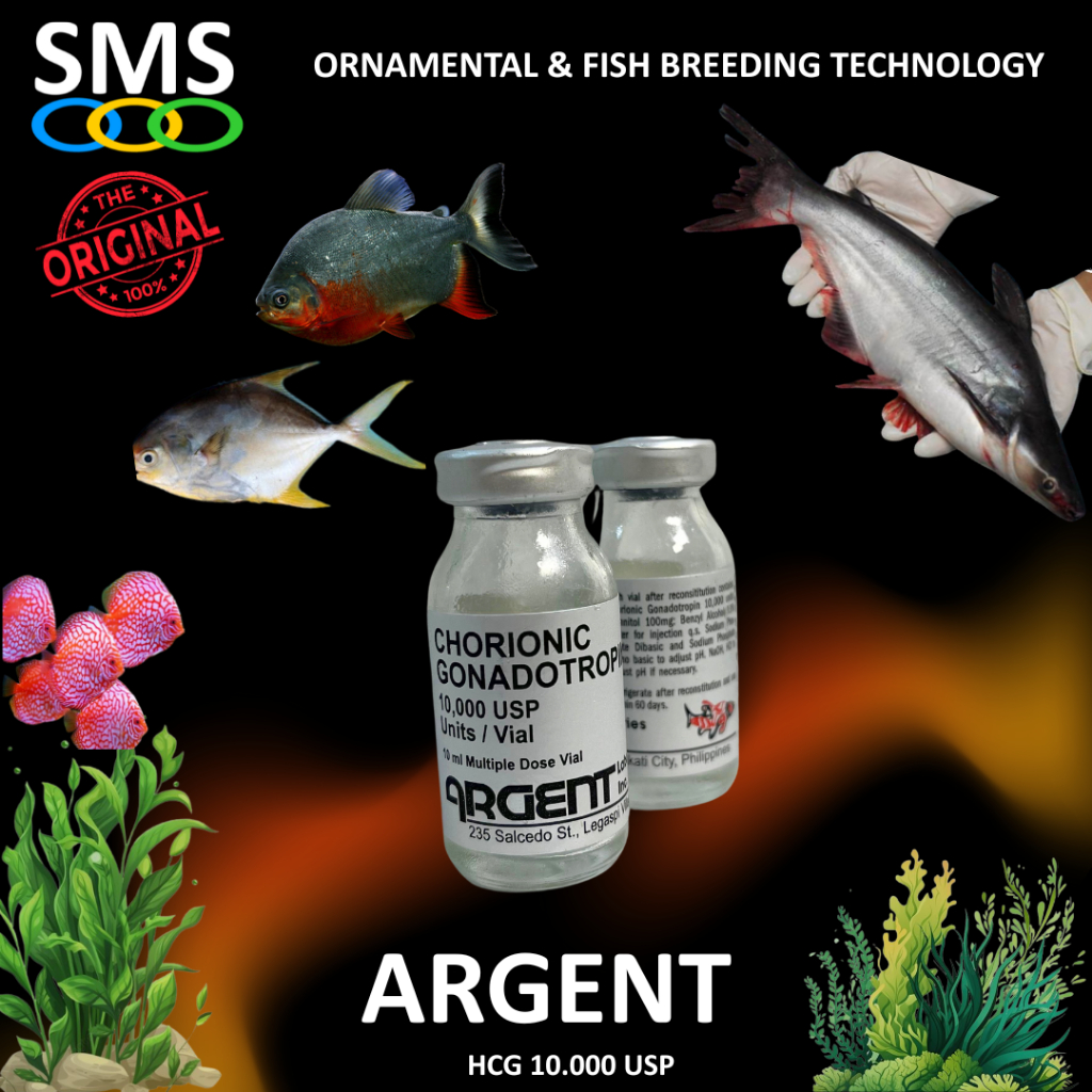 HCG 10000iu Argent /Hormon Ikan Natural/hormon kematangan telur/ikan dan udang