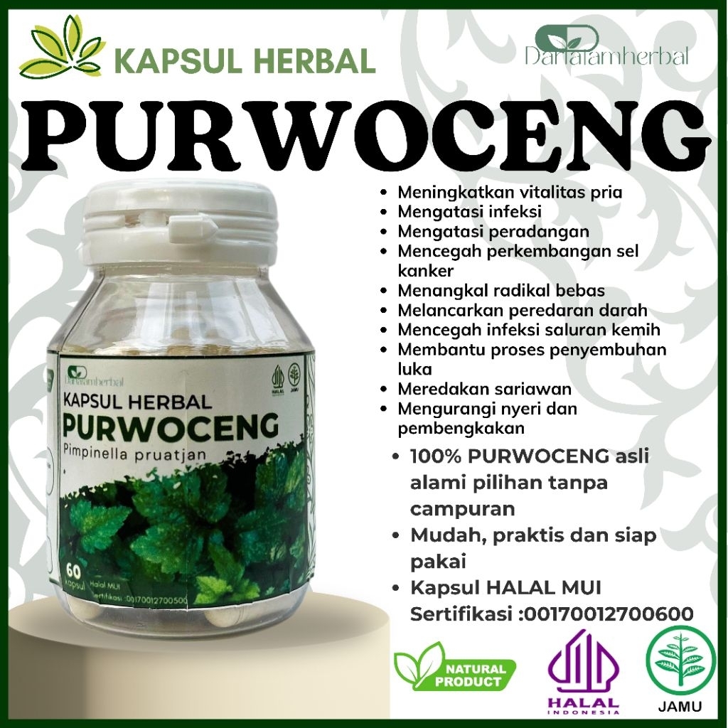 Herbal Kapsul PURWOCENG Asli 100% Alami | Kemasan Botol isi 60 kapsul | Herbal Sejuta Manfaat Keseha