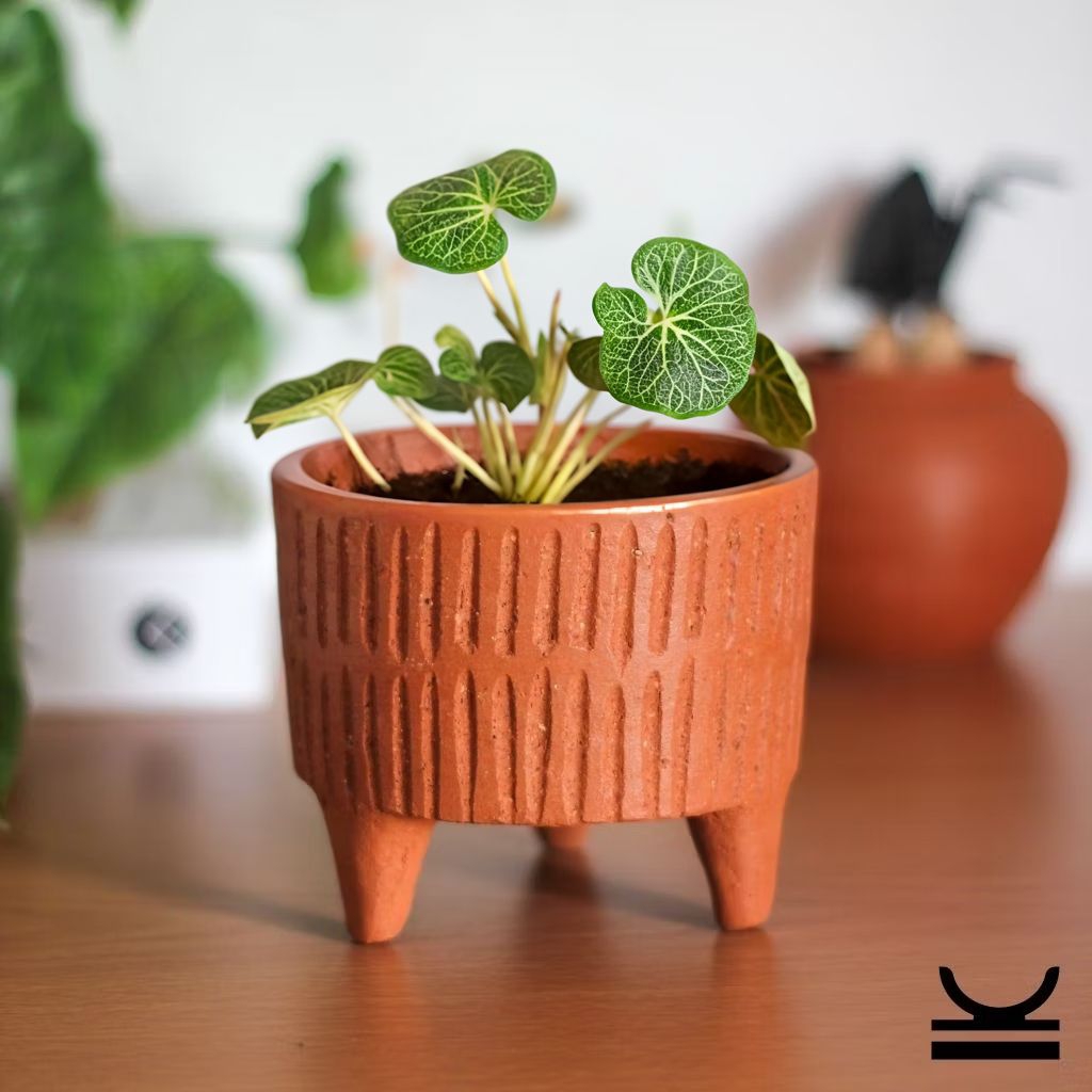 (PUV05) Pot Gerabah | Pot Terakota | Pot Tanah Liat | Pot Tanaman | Pot Bunga | Aesthetic