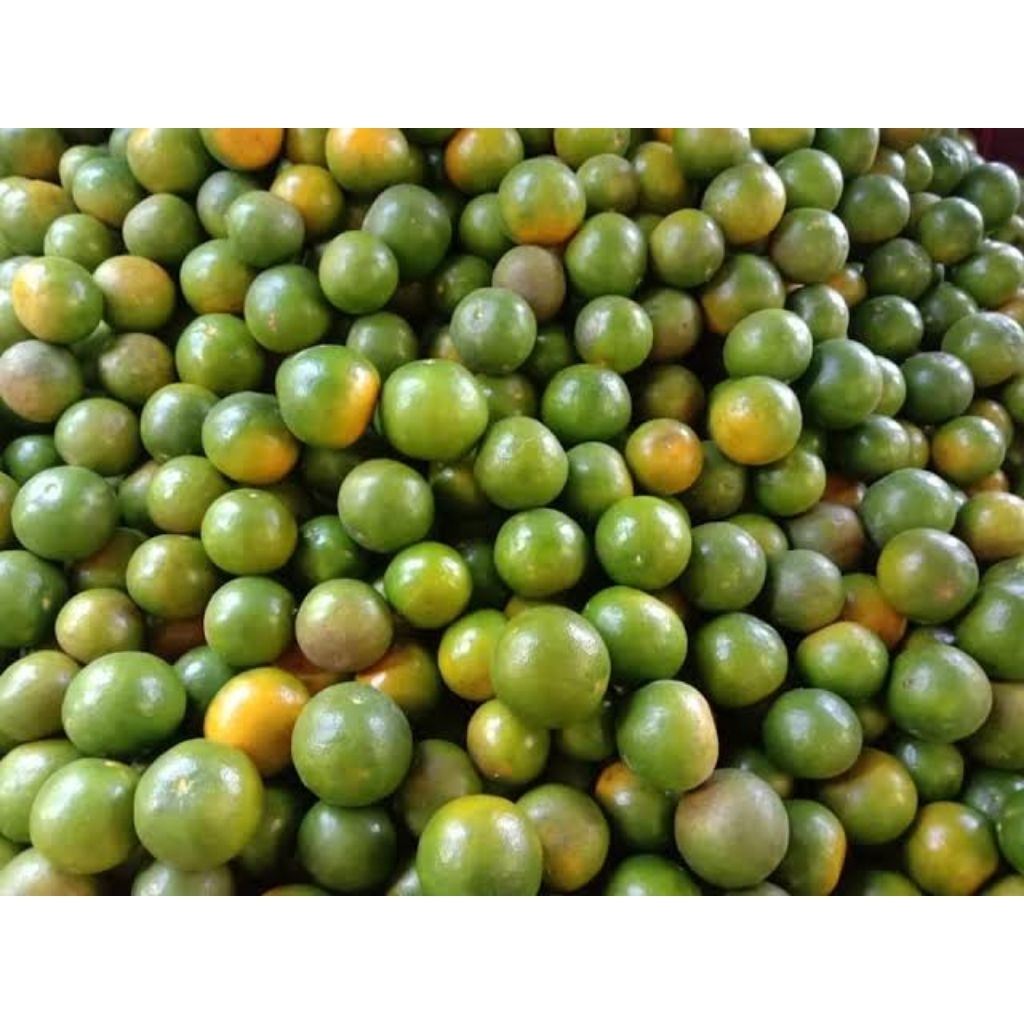 

Jeruk BW/Madu Segar, SayurBuah Ku - Lampung