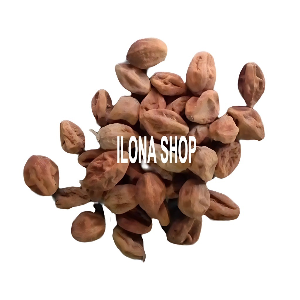 

JOHO SUKUN 1KG / MOJO SUKUN KERING HERBAL KEWANITAAN