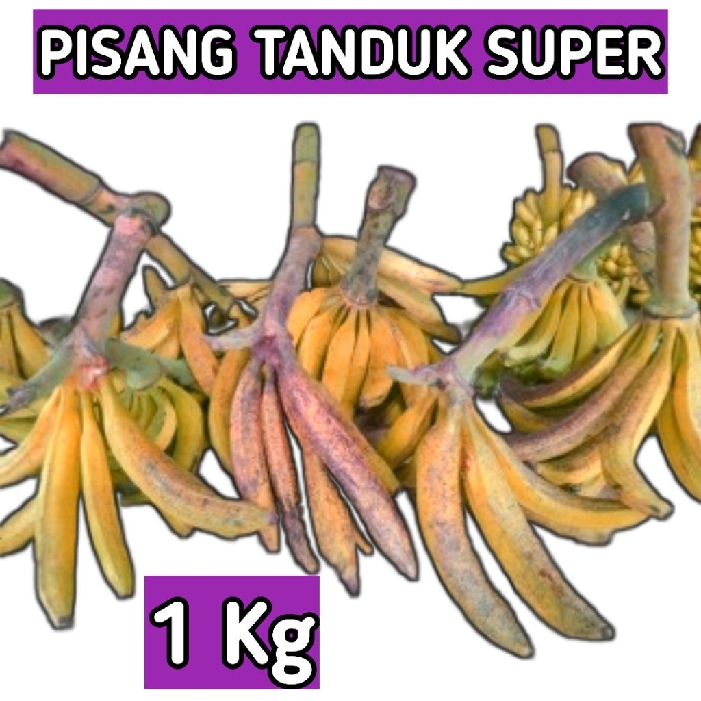 

1 Kg Pisang Tanduk / Byar Jumbo Asli Lereng Muria