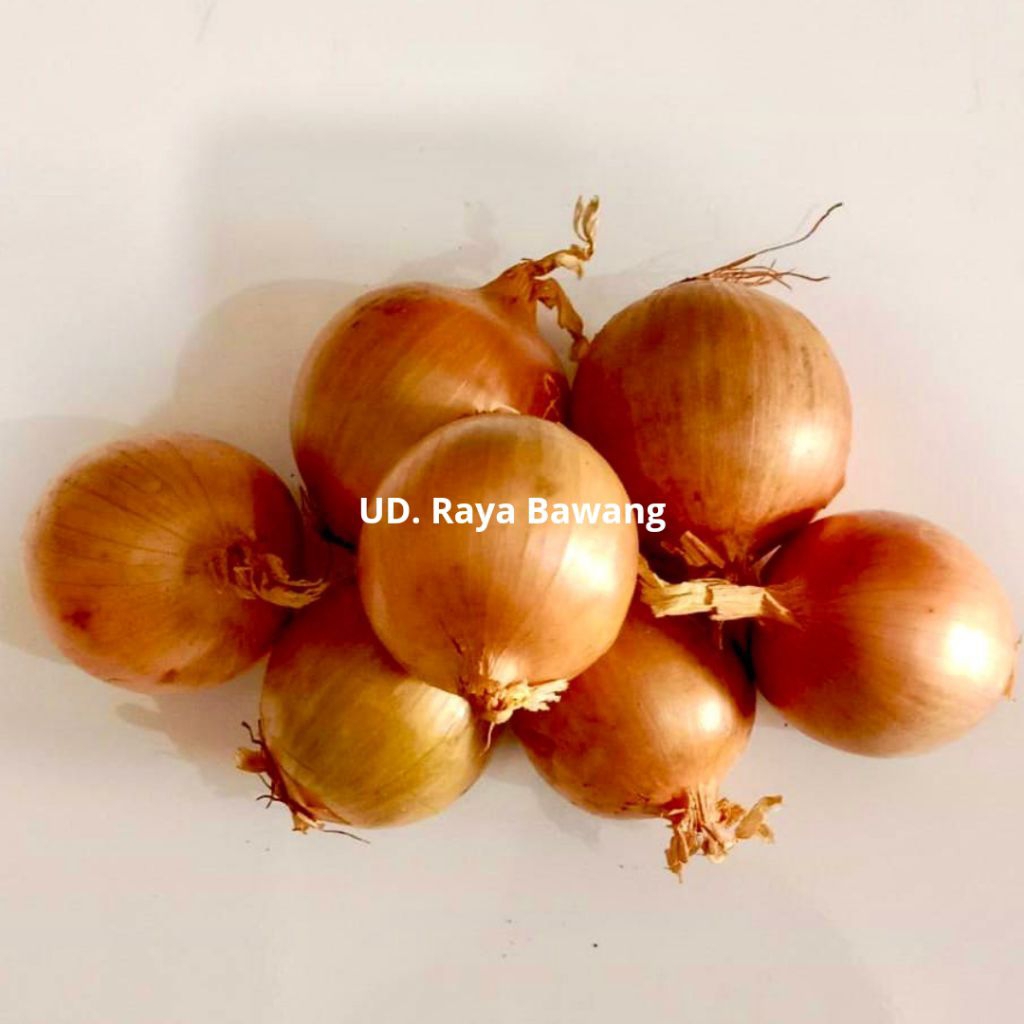 

Bawang Bombay Kecil 1kg Murah Meriah