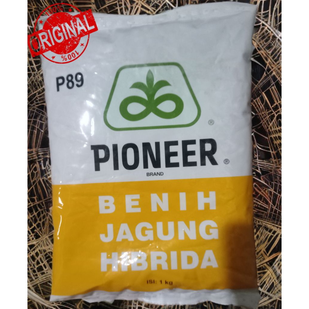 Benih Jagung Hibrida PIONEER P89 - 1KG