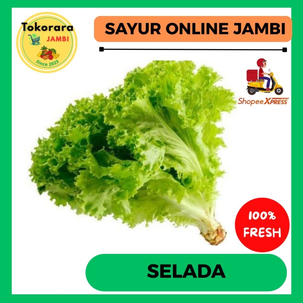 

KIRIM INSTAN Sayur Selada /ikat -tokorara.jambi