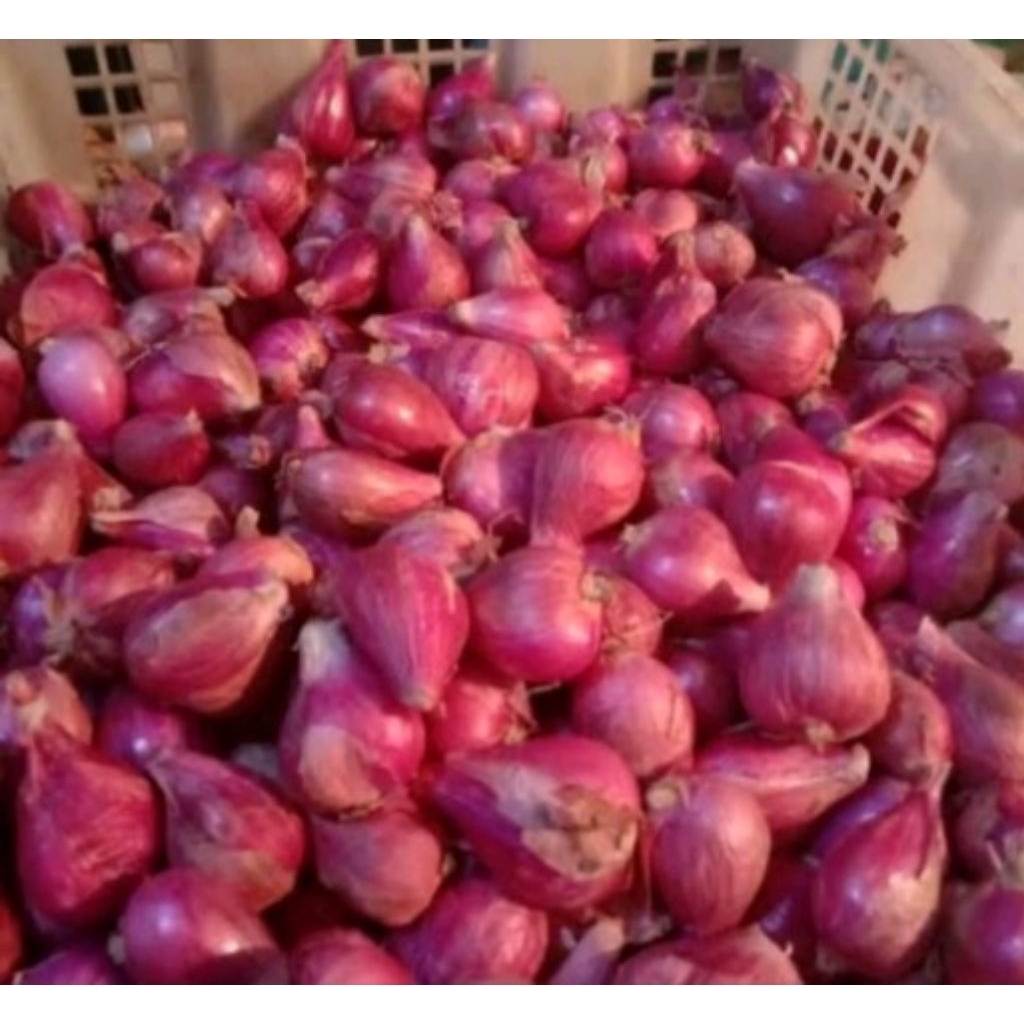 

Bawang merah
