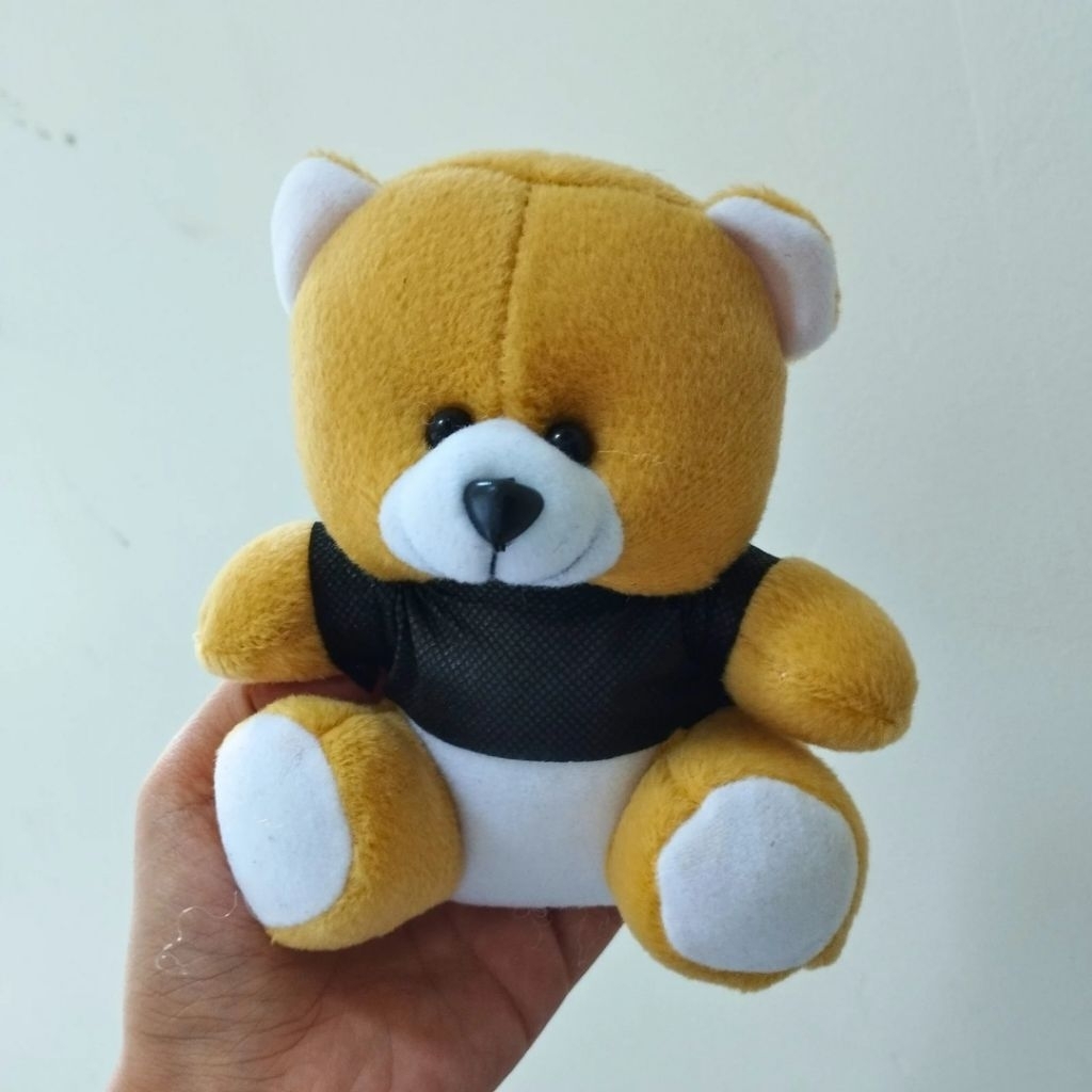 Boneka Mini Polos Kecil / Boneka Mini Murah / Boneka Karakter / Boneka Capit / Boneka Isian Buket