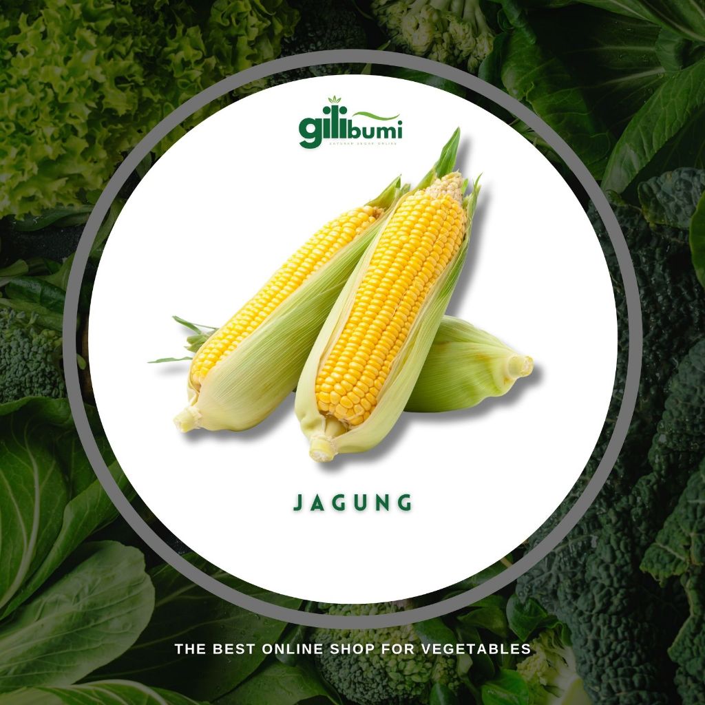 

Jagung Manis 1buah