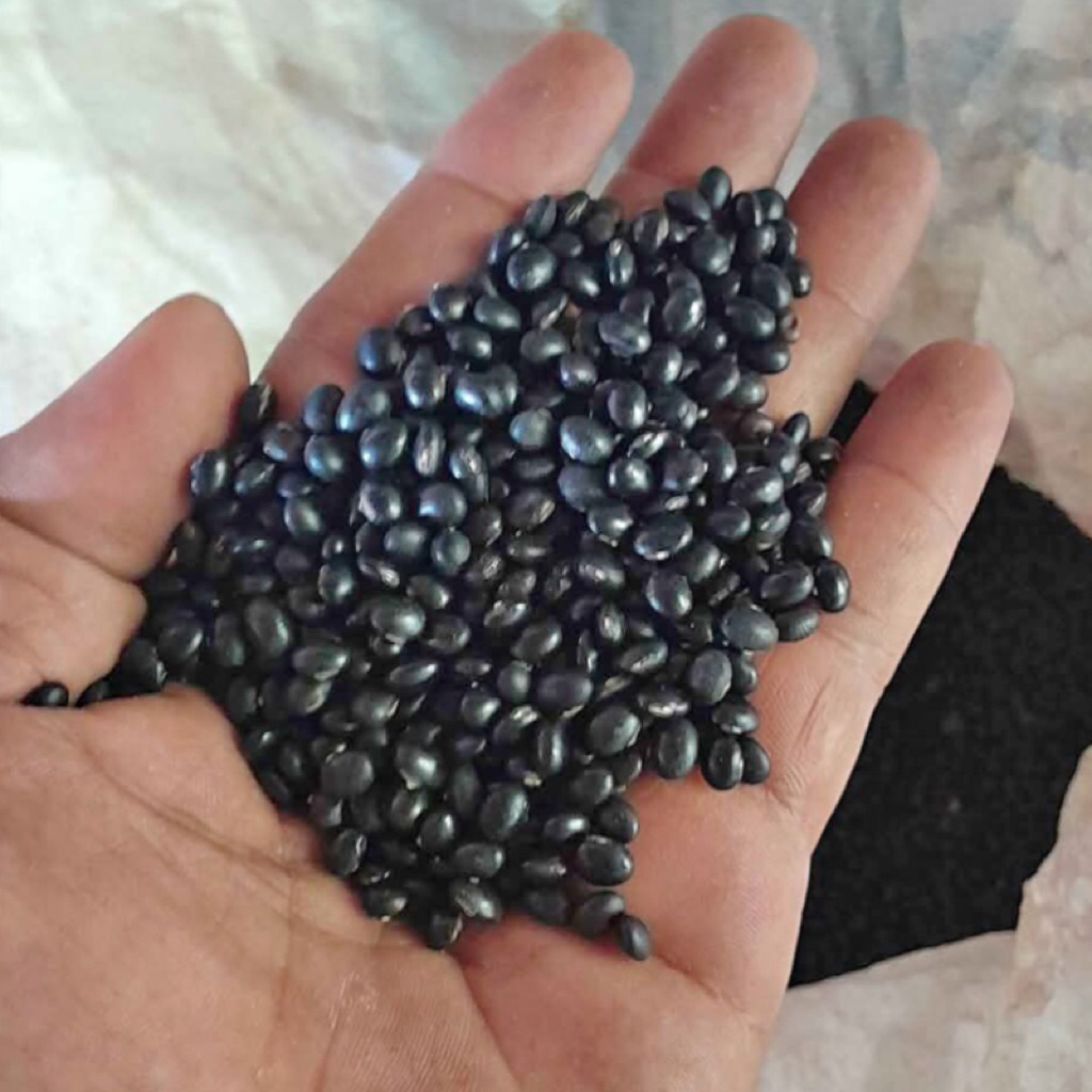 

1kg Kedelai Hitam Super Termurah