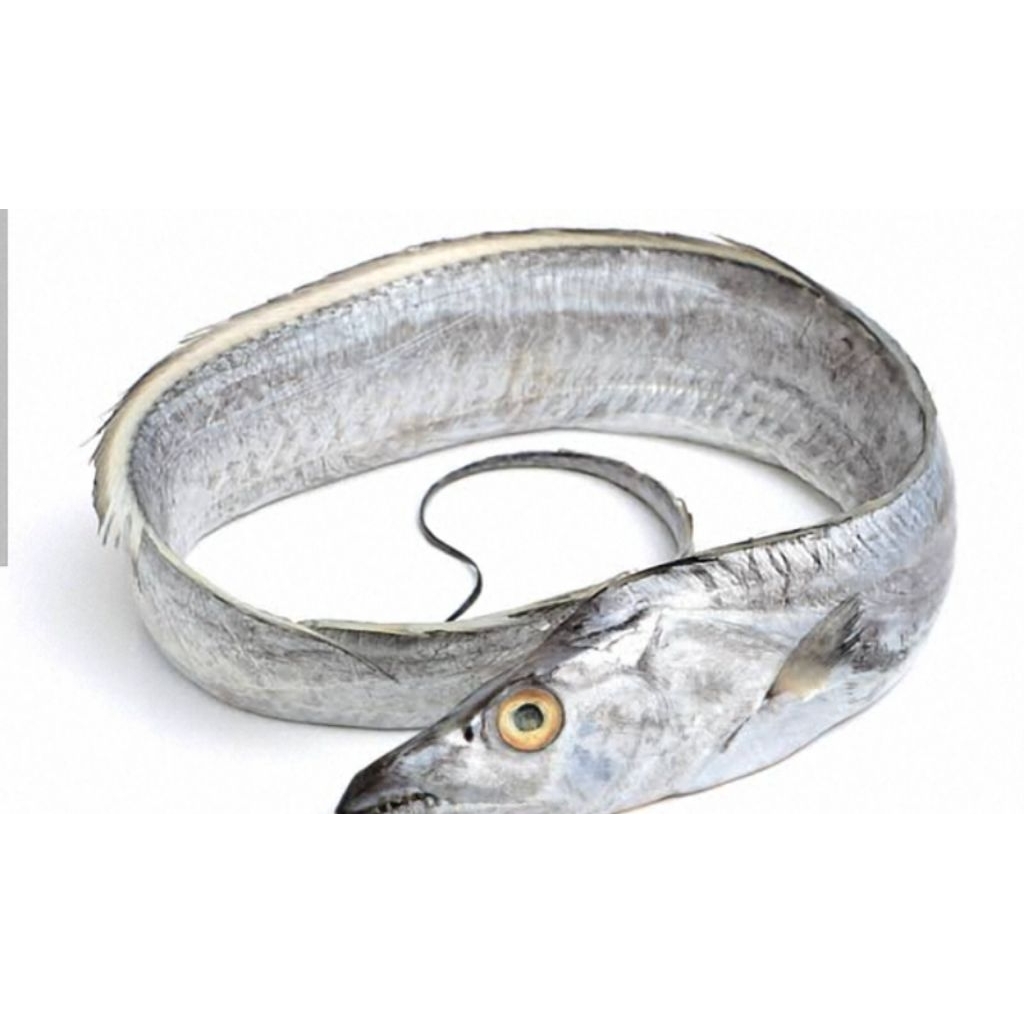 

IKAN LAYUR BINUANGEUN